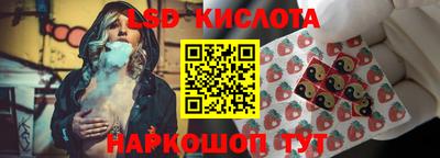 бошки Будённовск