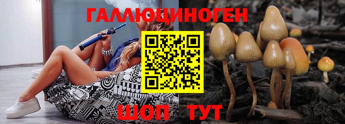 Псилоцибиновые грибы Magic Shrooms Магнитогорск